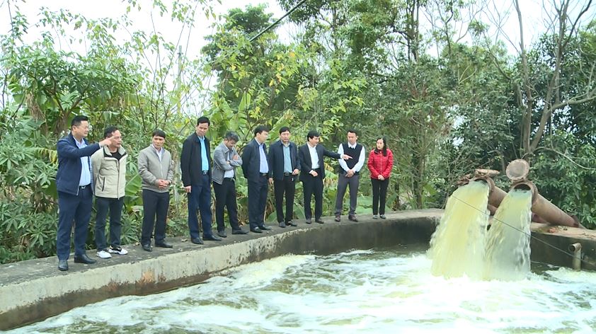 Lãnh đạo huyện Phúc Thọ kiểm tra tiến độ sản xuất vụ Xuân năm 2025 tại xã Xuân Đình